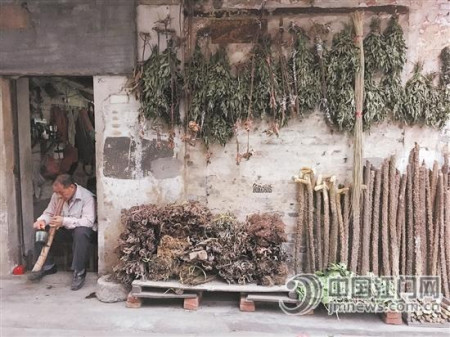 长宁路曾经是闻名珠三角的“草药街”。如今在街道当中，仍然见到有老者在售卖草药。