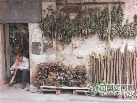 长宁路曾经是闻名珠三角的“草药街”。如今在街道当中,仍然见到有老者在售卖草药。 长宁路曾经是闻名珠三角的“草药街”。如今在街道当中,仍然见到有老者在售卖草药。