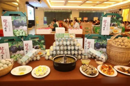 特产绿壳鸡蛋。 特产绿壳鸡蛋。
