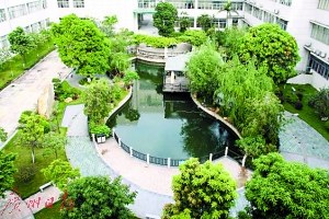 何杰文捐资助建的龙江新医院。 何杰文捐资助建的龙江新医院。