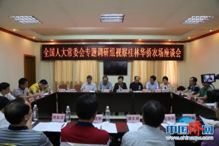 全国人大常委会专题调研组视察桂林华侨农场座谈会。　全小红 摄