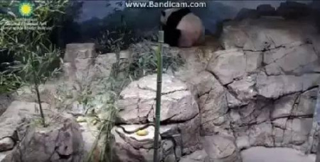 You Tube视频截图 You Tube视频截图