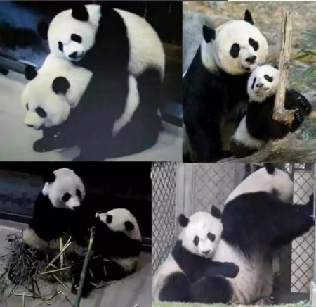 美香与贝贝 美香与贝贝