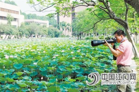 如此美景怎少得了摄影发烧友。 如此美景怎少得了摄影发烧友。