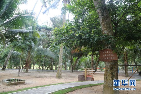 茂园村貌。新华网 黎多江摄 茂园村貌。新华网 黎多江摄