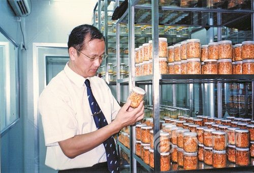 高益槐在实验室进行研究。 高益槐在实验室进行研究。