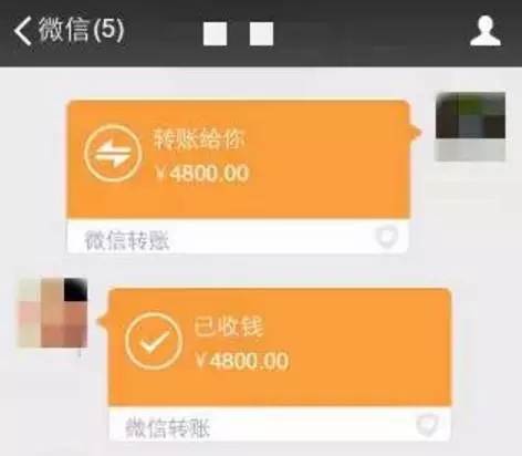 图片来源:新西兰天维网 图片来源:新西兰天维网