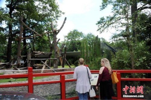 阔别五年后，德国柏林终于再度迎来一对中国大熊猫。图为7月4日，两位游客在即将对公众开放的柏林动物园大熊猫馆前驻足。7月5日，来自中国的“梦梦”和“娇庆”将正式与德国公众见面。<a target='_blank' href='http://www.chinanews.com/'>中新社</a>记者 彭大伟 摄