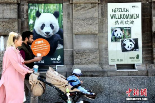 阔别五年后，德国柏林终于再度迎来一对中国大熊猫。图为7月4日，一家三口经过柏林动物园外张贴的大熊猫海报。7月5日，这对来自中国的“萌物”将正式与德国公众见面。<a target='_blank' href='http://www.chinanews.com/'>中新社</a>记者 彭大伟 摄