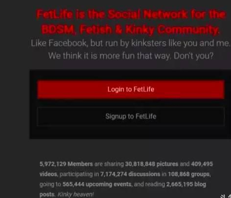 FetLife网站截图 (图源：中国青年网)