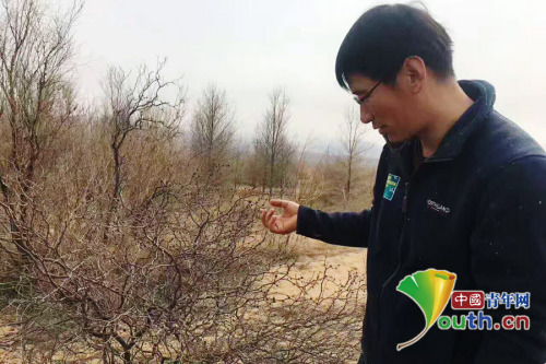 吴向荣观察示范区树木的生长情况。受访者供图 吴向荣观察示范区树木的生长情况。受访者供图