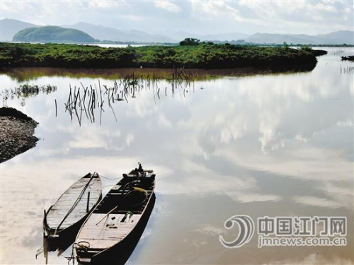 红树林边上的滩涂。 梁国凡 摄 红树林边上的滩涂。 梁国凡 摄