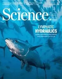 最新一期《科学》封面 最新一期《科学》封面