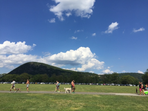 夏季携家带口登山健行野营，是美国寻常百姓生活。（美国《世界日报》/陆怡雯 摄）