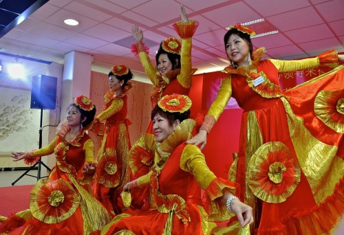节目表演。(荷兰一网) 节目表演。(荷兰一网)