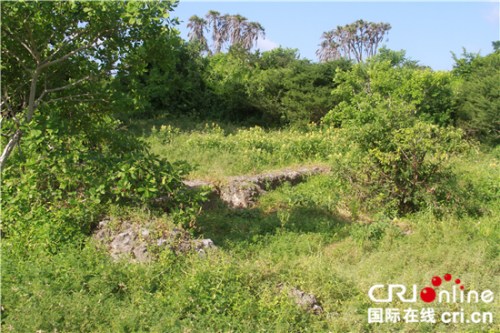 曾经繁荣的曼达古镇早已废弃，如今只剩淹没在红树林中的残垣断壁。（王新俊 摄）