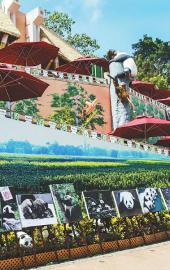 8月24日，“熊猫艺术展”在香港海洋公园内的四川奇珍馆开幕。图为艺术展展出的熊猫摄影作品。本报记者田为 摄