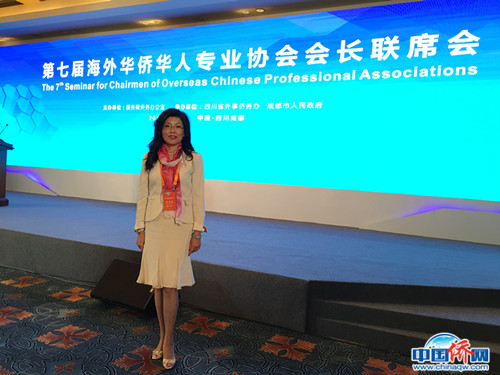 出席海外华侨华人专业协会会长联席会。(图片均由作者提供)