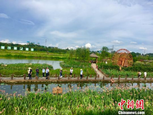 海外华文媒体代表走进那考河湿地公园。　朱柳融 摄