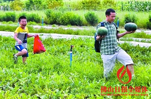 劲农现代都市农业园中,市民体验生态旅游农业。 劲农现代都市农业园中,市民体验生态旅游农业。