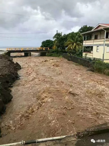 多米尼克当地受灾情况。(商务部团委e新商务微信公众号图片)