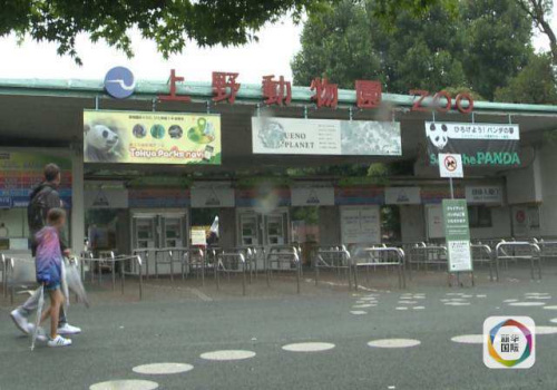 上野动物园。(视频截图) 上野动物园。(视频截图)