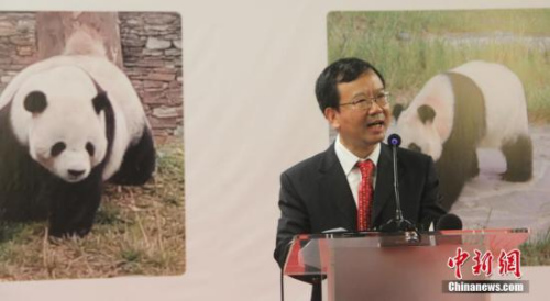 9月28日,来自中国四川的国宝大熊猫“彩陶”与“湖春”抵达印尼,它们将在隔离观察一段时间后对印尼公众开放。中印尼两国将正式开始为期10年的大熊猫保护合作研究。图为中国驻印尼大使馆临时代办孙伟德在欢迎仪式上致辞。<a target='_blank' href='http://www.chinanews.com/'>中新社</a>记者 林永传 摄 9月28日,来自中国四川的国宝大熊猫“彩陶”与“湖春”抵达印尼,它们将在隔离观察一段时间后对印尼公众开放。中印尼两国将正式开始为期10年的大熊猫保护合作研究。图为中国驻印尼大使馆临时代办孙伟德在欢迎仪式上致辞。<a target='_blank' href='http://www.chinanews.com/'>中新社</a>记者 林永传 摄
