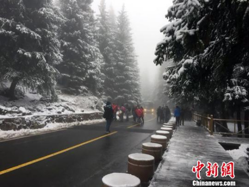 降雪挡不住游客赏景的步伐。 甄梅 摄 降雪挡不住游客赏景的步伐。 甄梅 摄
