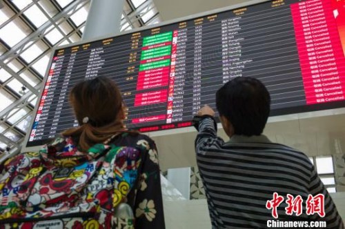 图为两位旅客在海口美兰国际机场查看航班信息,电子显示屏上大部分航班已经被取消。 骆云飞 摄 图为两位旅客在海口美兰国际机场查看航班信息,电子显示屏上大部分航班已经被取消。 骆云飞 摄