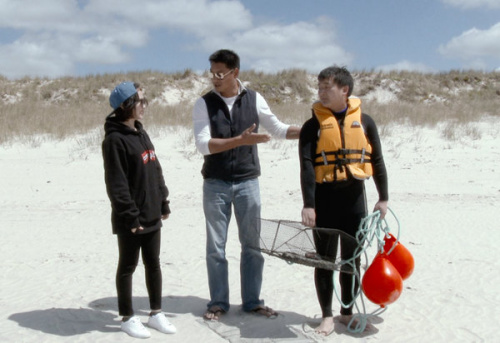 新西兰即将开启夏日模式 快拿好攻略到海边抓