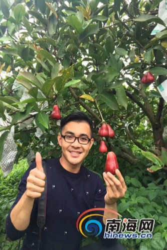 小龙哥直播“帮农民买水果”。网络截图