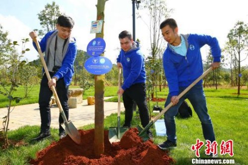 图为营员植树留念。 王崴 摄 图为营员植树留念。 王崴 摄
