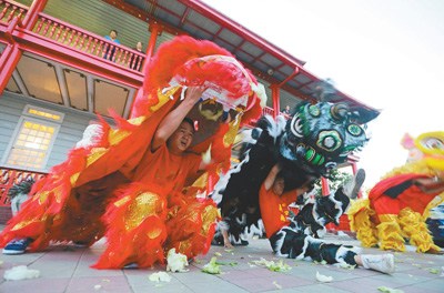 苏里南首都帕拉马里博，华裔民众进行舞狮表演，欢迎中国传统春节到来。 　　人民视觉