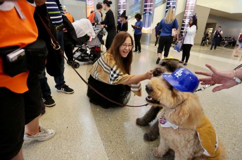 一位旅客在与宠物犬互动。(美国《侨报》/邱晨 摄)