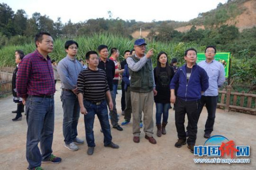 服务团在黔西南州望谟县热作产业良种繁育科技示范园调研。 冉文娟 摄 服务团在黔西南州望谟县热作产业良种繁育科技示范园调研。 冉文娟 摄