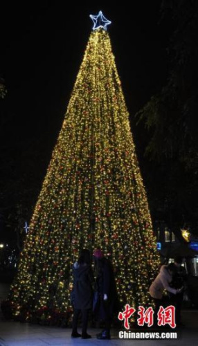 资料图：圣诞树。<a target='_blank' href='http://www.chinanews.com/'>中新社</a>记者 张茵 摄