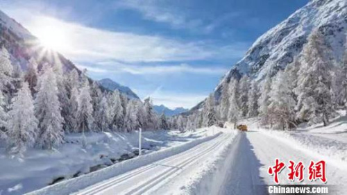 图为呼伦贝尔冬季林区雪景 呼伦贝尔旅游发展委员会供图 摄