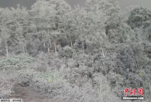 12月1日消息，一组于26日发布在社交网络的印尼阿贡火山爆发后巴厘岛当地遭火山泥流冲击的照片。