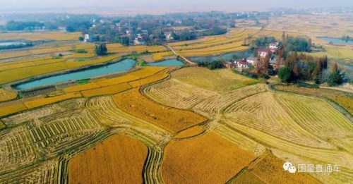 <a target='_blank' href='http://www.chinanews.com/'>中新社</a>发 王闽 摄 <a target='_blank' href='http://www.chinanews.com/'>中新社</a>发 王闽 摄