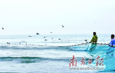 目前，潮州近岸海域水质状况总体良好。图为饶平大埕湾，海面上海鸟纷飞。黄庆明 摄