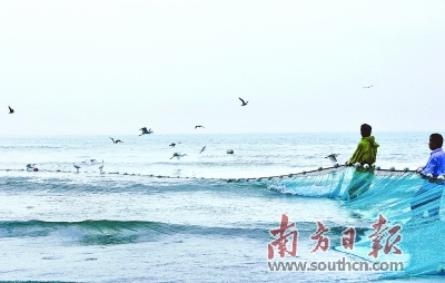 目前,潮州近岸海域水质状况总体良好。图为饶平大埕湾,海面上海鸟纷飞。黄庆明 摄 目前,潮州近岸海域水质状况总体良好。图为饶平大埕湾,海面上海鸟纷飞。黄庆明 摄