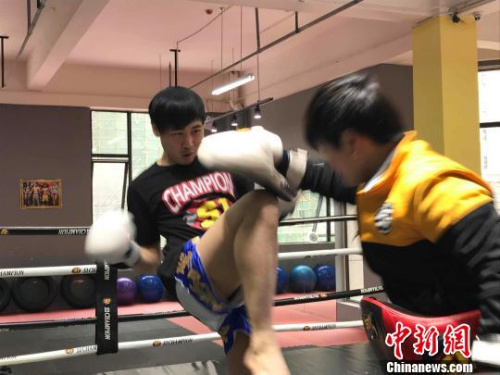 洪志青在练习泰拳。 魏尧 摄 洪志青在练习泰拳。 魏尧 摄