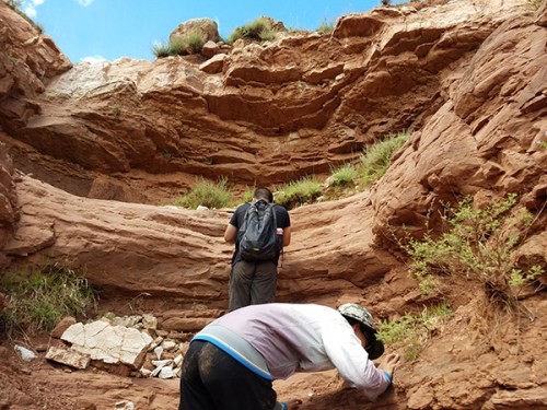 学生们在西藏考察。 学生们在西藏考察。