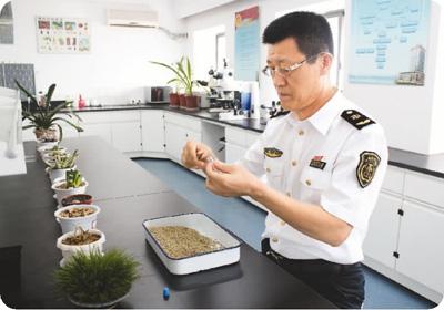 江苏检验检疫局工作人员正在查验进境物品 江苏检验检疫局工作人员正在查验进境物品