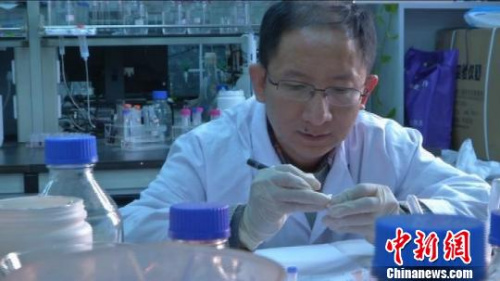 中科院合肥物质研究院的科学家正在潜心工作。 孙策 摄 中科院合肥物质研究院的科学家正在潜心工作。 孙策 摄