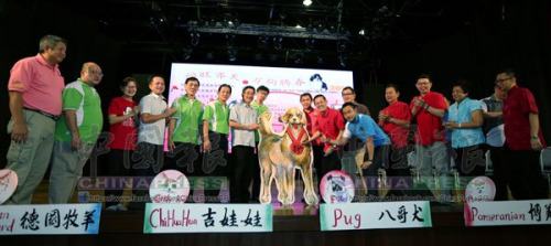 “福旺齐天,万狗腾春”大型现场绘万狗图挥毫启动仪式。 “福旺齐天,万狗腾春”大型现场绘万狗图挥毫启动仪式。