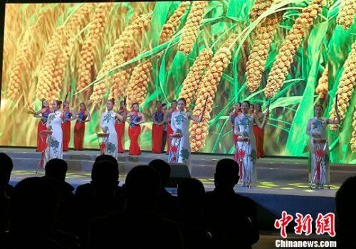 高平鼓书《谷子好》 杨杰英 摄 高平鼓书《谷子好》 杨杰英 摄