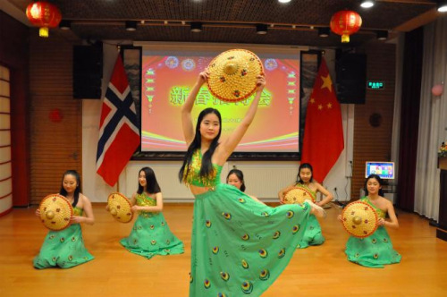 图片取自中国驻挪威大使馆网站