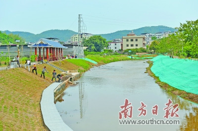 在南口镇侨乡村三星河边，工程队正对亲水观光平台进行最后的石砖铺设和绿化工作。何森垚 摄