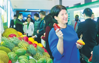 2018年2月2日，外交部海南全球推介活动上，外国嘉宾对海南热带水果兴趣浓厚。本报记者 李英挺 摄